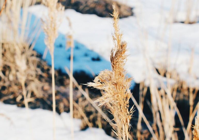 Воздух в Самарской области прогрелся до рекордных значений