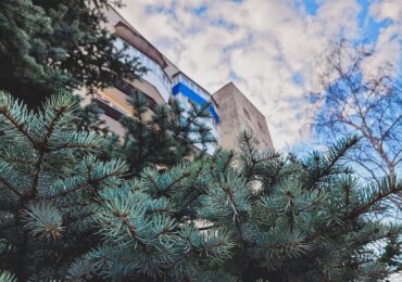 В Самарской области погода побила 11 температурных рекордов