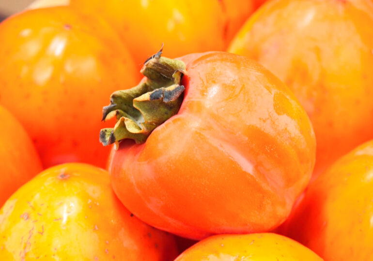 В России введут новый ГОСТ на хурму