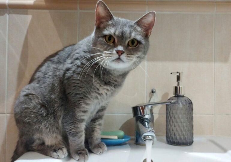 В Самаре 20 марта возможны временные отключения холодной воды