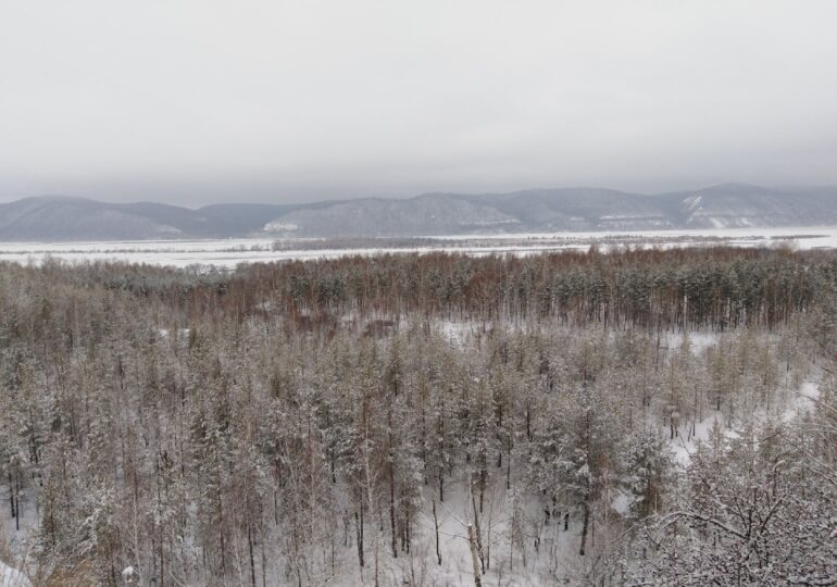 В Самарской области 10 марта прогнозируют мороз до -32 °С
