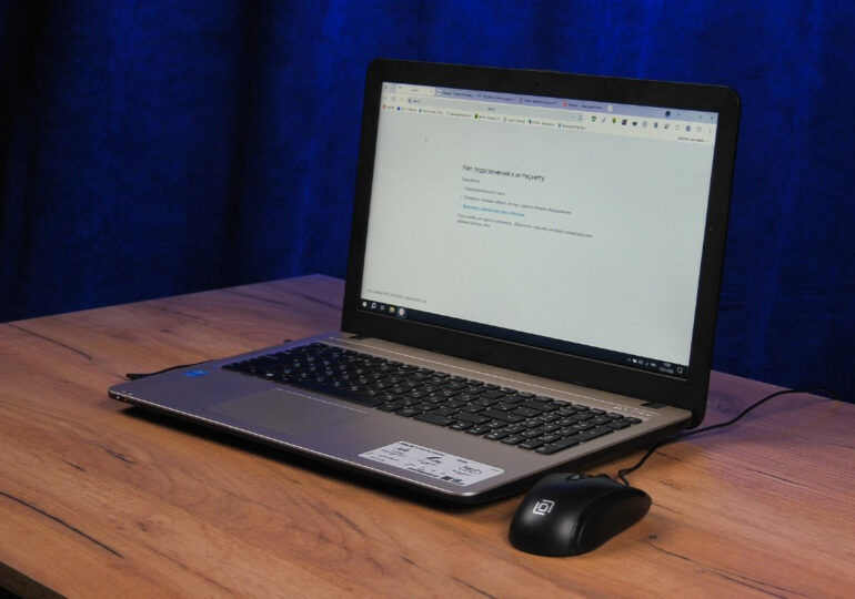 Россельхознадзор выявил 26 сайтов с продажей контрафактных ветпрепаратов