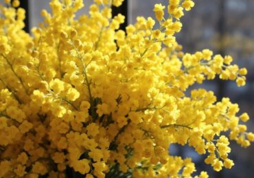 Самарцам рассказали, какие букеты на 8 Марта будут безопасными для аллергиков