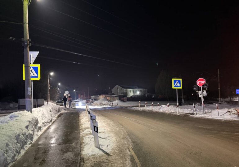 В Самарской области «Ласточка» насмерть сбила человека