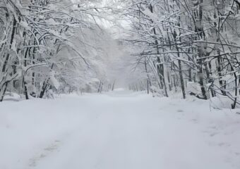 В Самарской области автозимник «Шелехметь – Белые домики» прекращает работу