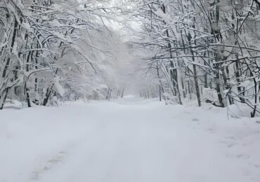 В Самарской области автозимник «Шелехметь – Белые домики» прекращает работу