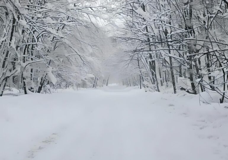 В Самарской области автозимник «Шелехметь – Белые домики» прекращает работу