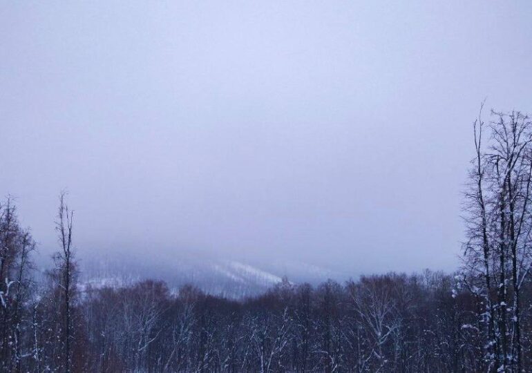 В Самарской области до конца 5 марта прогнозируют сильный снег