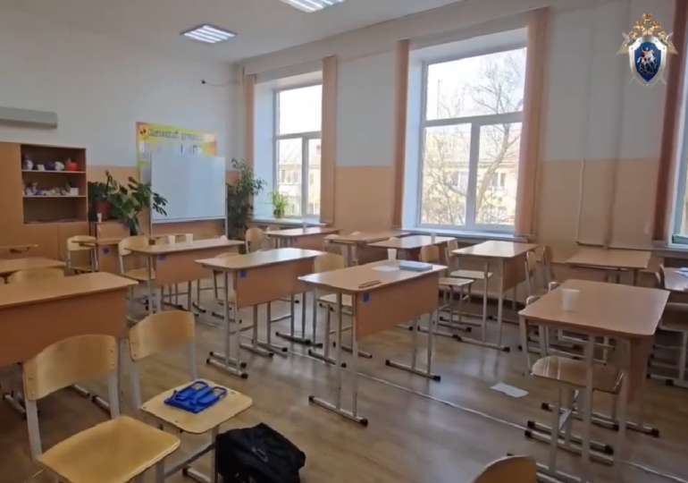 В Челябинске школьник выстрелил девочке в лицо