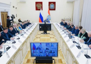Вячеслав Федорищев выразил соболезнования семье ребенка, погибшего при падении дерева