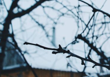 Самарцев предупредили о двух волнах похолодания в мае