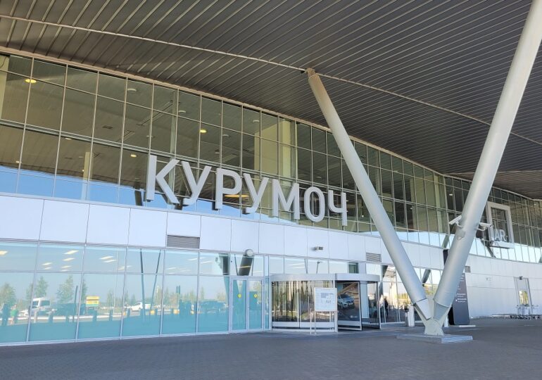 В Курумоче задержали 16 партий мяса, рыбы и меда