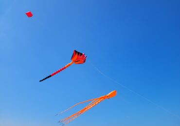 В Самарской области 7 апреля откроют бронирование путевок в детские лагеря