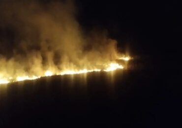 В Самарской области потушили сухую траву