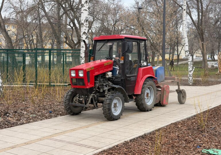 В Самаре проводят уборку в парке Щорса