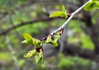 В конце апреля самарцев ожидает четырехдневная рабочая неделя