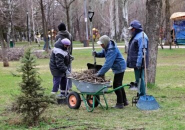 В самарском парке Победы высадят 90 крупномерных деревьев