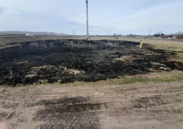 В Самарской области потушили пожар в поле