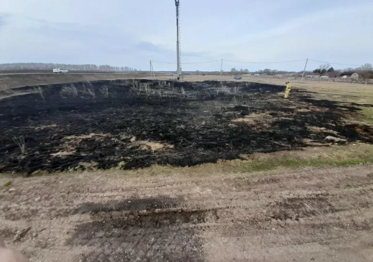 В Самарской области потушили пожар в поле