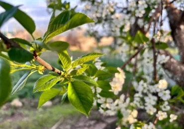 Самарцам рассказали, почему невыгодно брать отпуск в мае