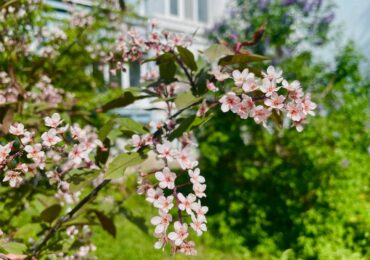 Каждый восьмой самарец планирует продлить майские праздники отпусками