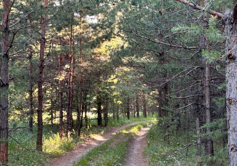 В Самарской области установили особый противопожарный режим