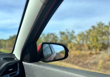 Водителям грозит лишение прав, если они покинут место наезда на животное