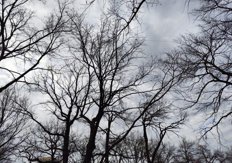 В Самарской области 12 апреля ожидается сильный ветер