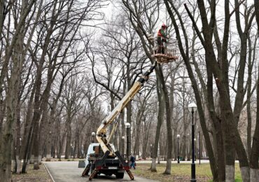 В Самаре к летнему сезону готовят более 150 га парков