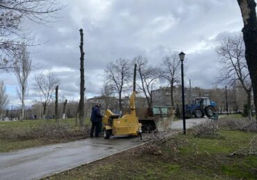 В самарском парке Победы начали сносить аварийные деревья