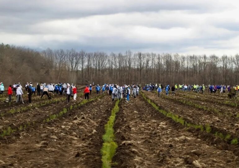 Самарская область присоединилась к акции «Сад памяти»