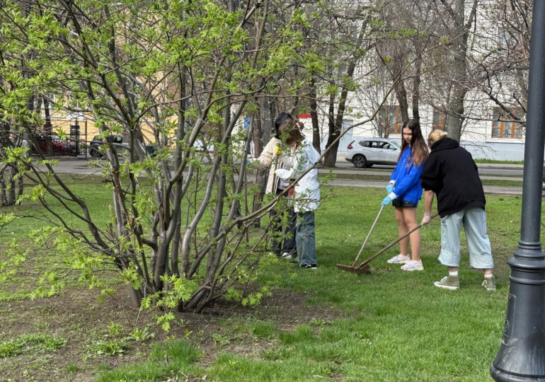 В Самаре в сквере имени Сафонова организовали субботник
