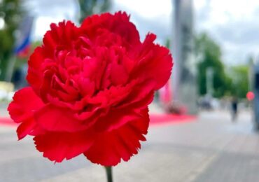 Стало известно, в каком формате пройдет «Бессметный полк» в этом году