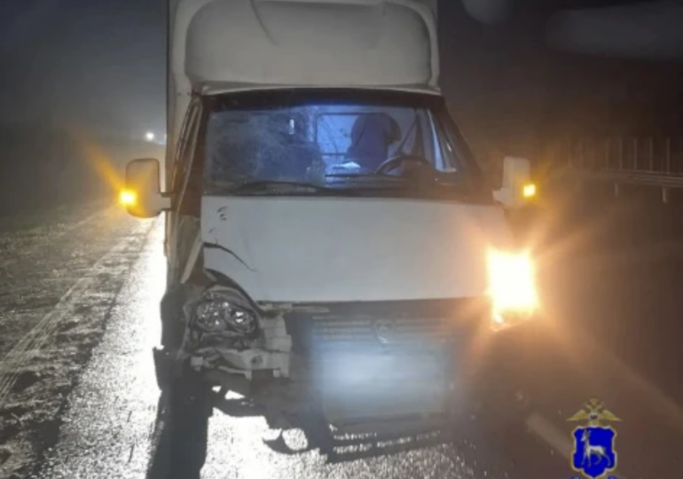 В Самарской области на трассе М-5 «Урал» насмерть сбили мужчину