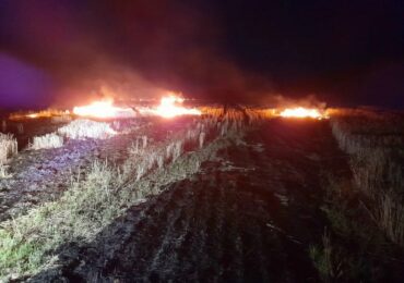 В Красноярском районе Самарской области потушили сухую траву