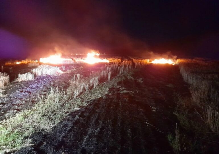 В Красноярском районе Самарской области потушили сухую траву
