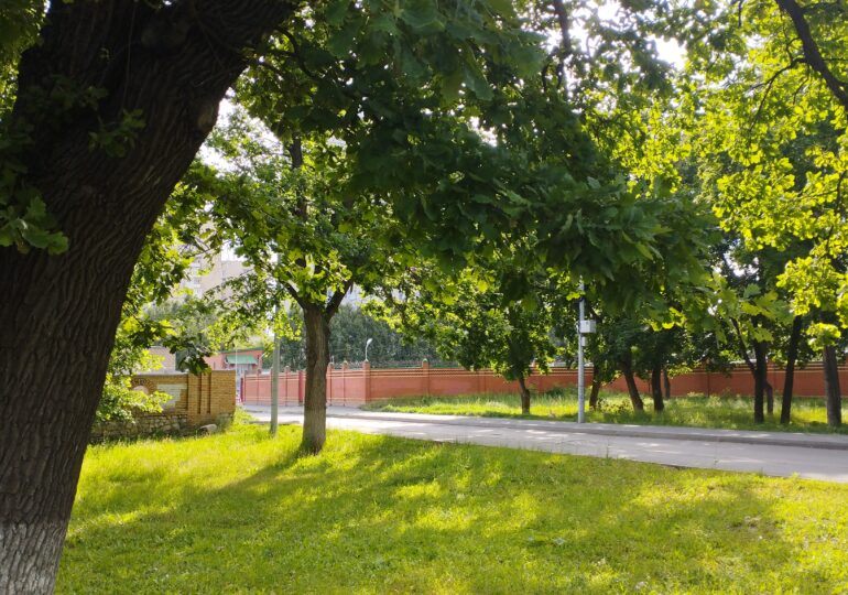 В Самарской области погода установила новые температурные рекорды