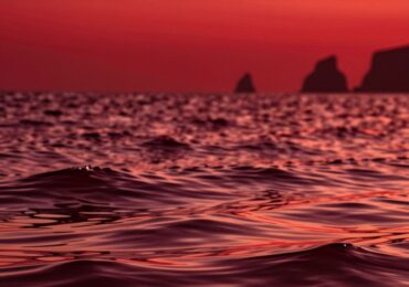 В Омане покраснели прибрежные воды из-за массовой гибели креветок