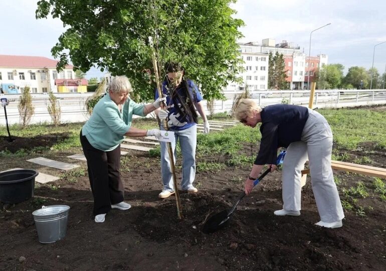 В Самаре высадили Аллею городов Поволжья