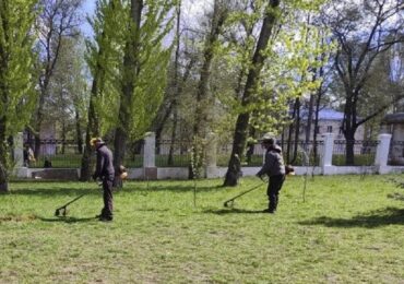 В Самаре приступили к плановому покосу травы