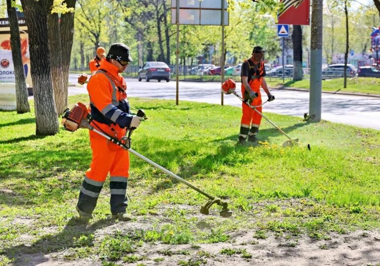В Самаре восстанавливают газоны, прилегающие к автомобильным дорогам