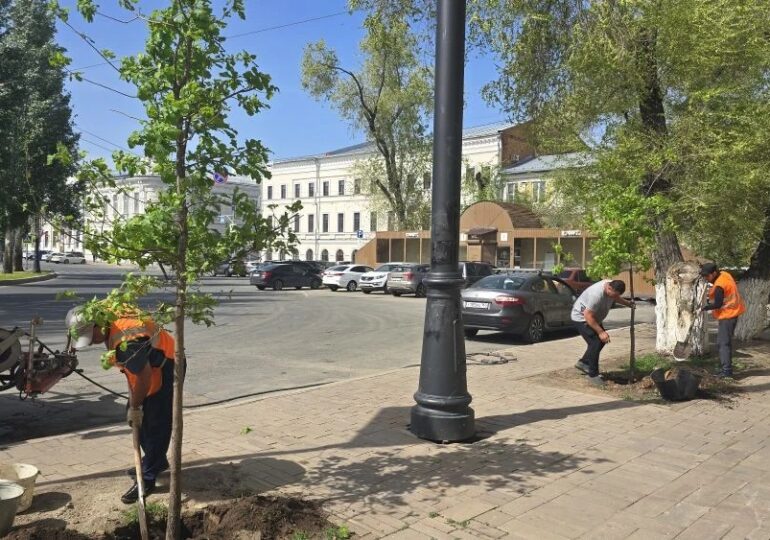 В Самаре начался второй этап озеленения
