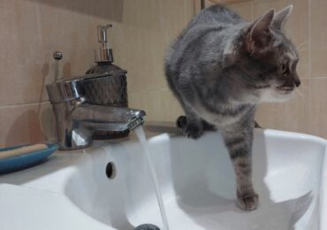 В Самаре 20 мая возможны временные отключения холодной воды
