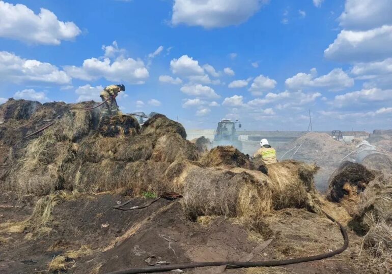В Самарской области потушили сено на поле