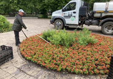 В Самаре городские службы ежедневно заботятся о зеленых зонах