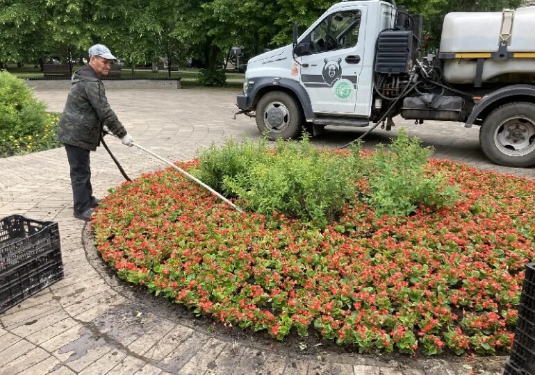 В Самаре городские службы ежедневно заботятся о зеленых зонах