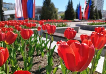 В Самаре начали озеленять общественные пространства