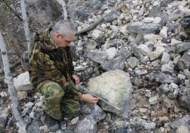 Самарские волонтеры обнаружили коралл возрастом 300 млн лет