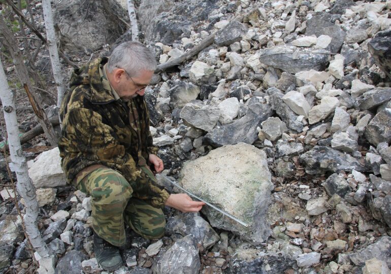 Самарские волонтеры обнаружили коралл возрастом 300 млн лет