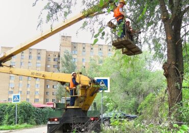 В Самаре предприятия благоустройства перешли на летний режим содержания города
